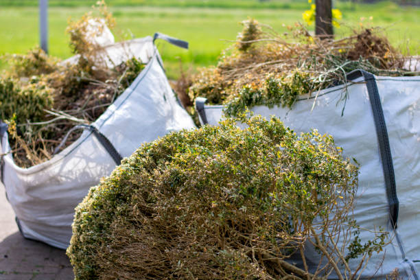 Best Office Junk Removal  in Lipscom, AL